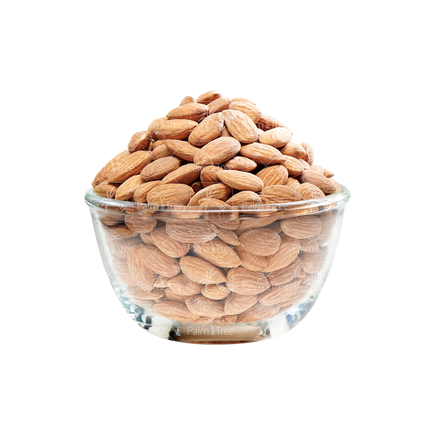 Almond Salted Roasted