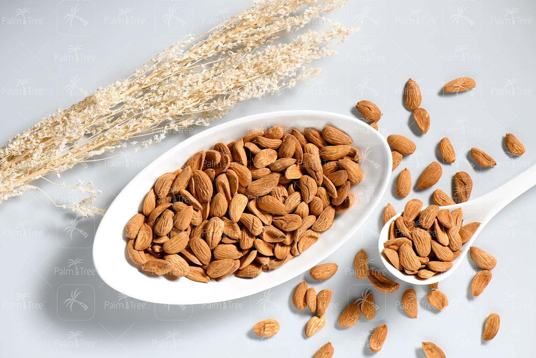 Almond Mamra Premium - Image 3