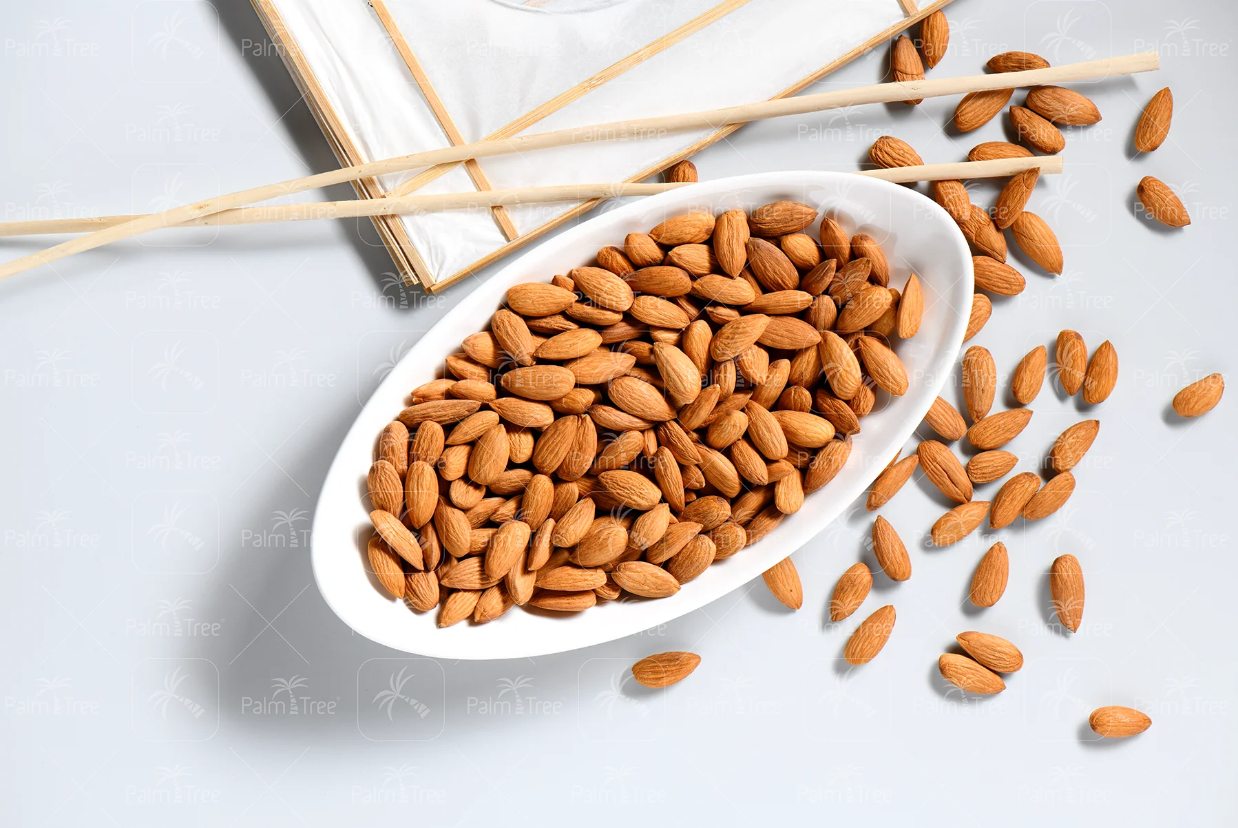Almond Senora - Image 3