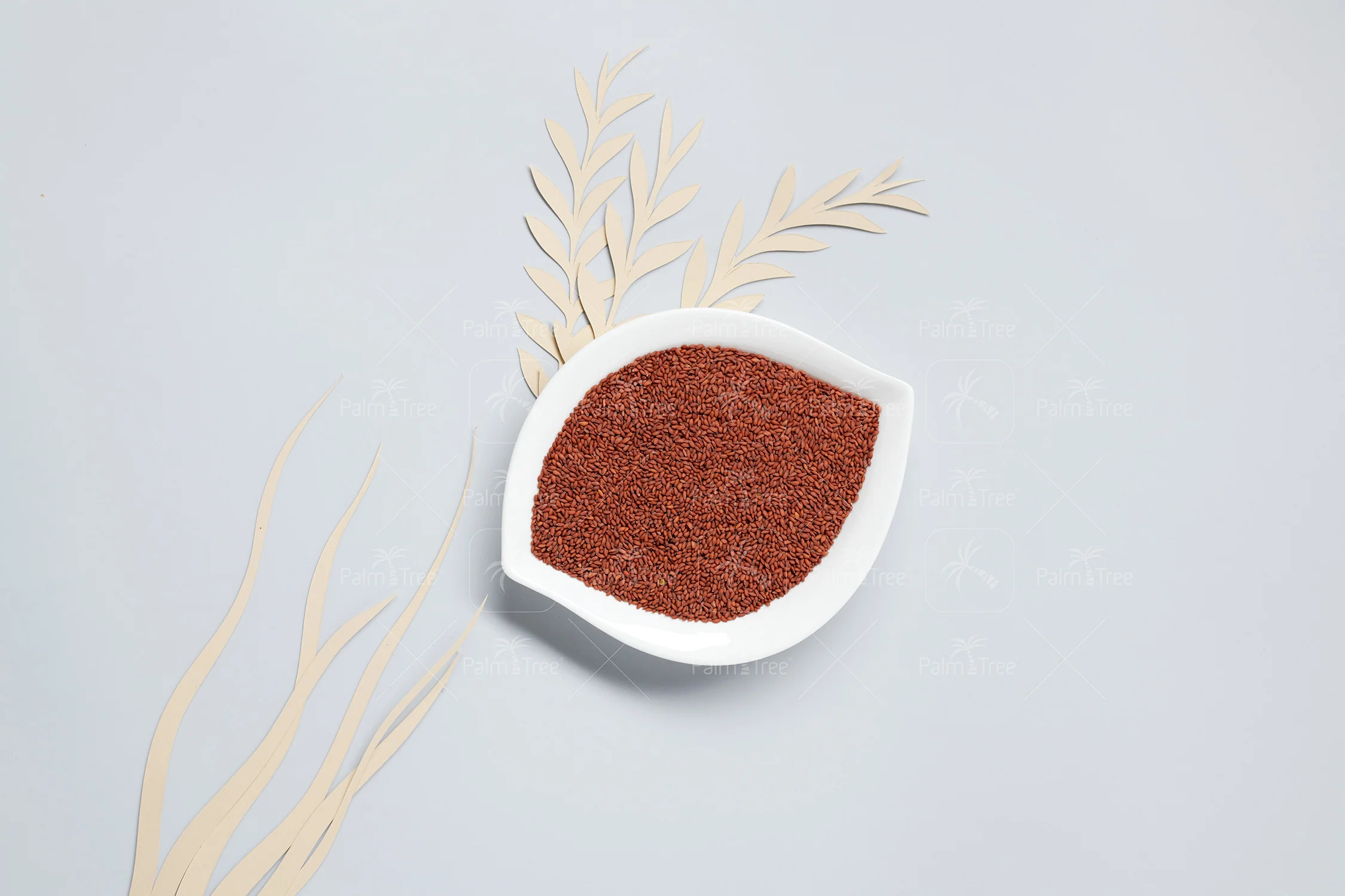 Ashali / Garden Cress Seeds - Image 3