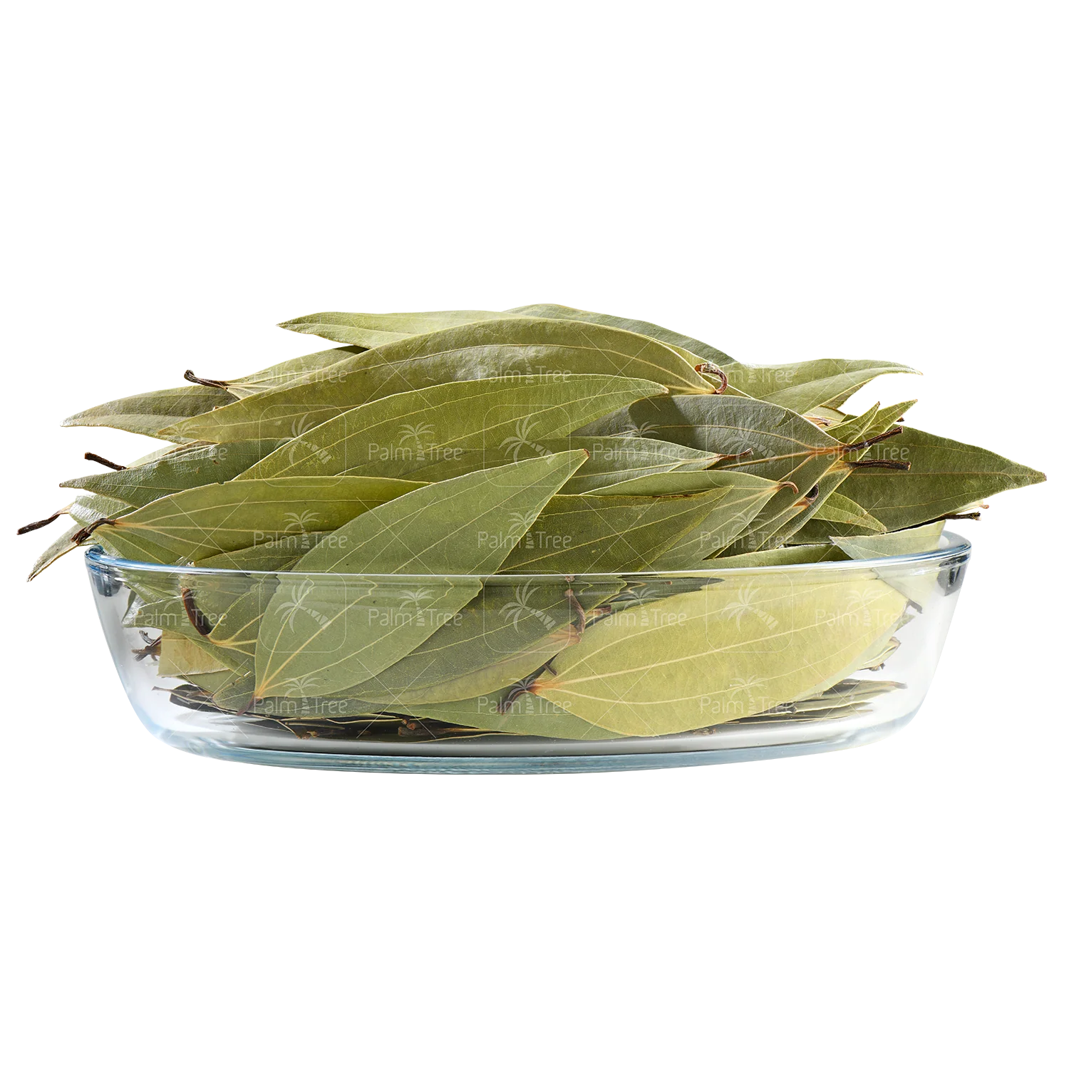 Bay Leaf