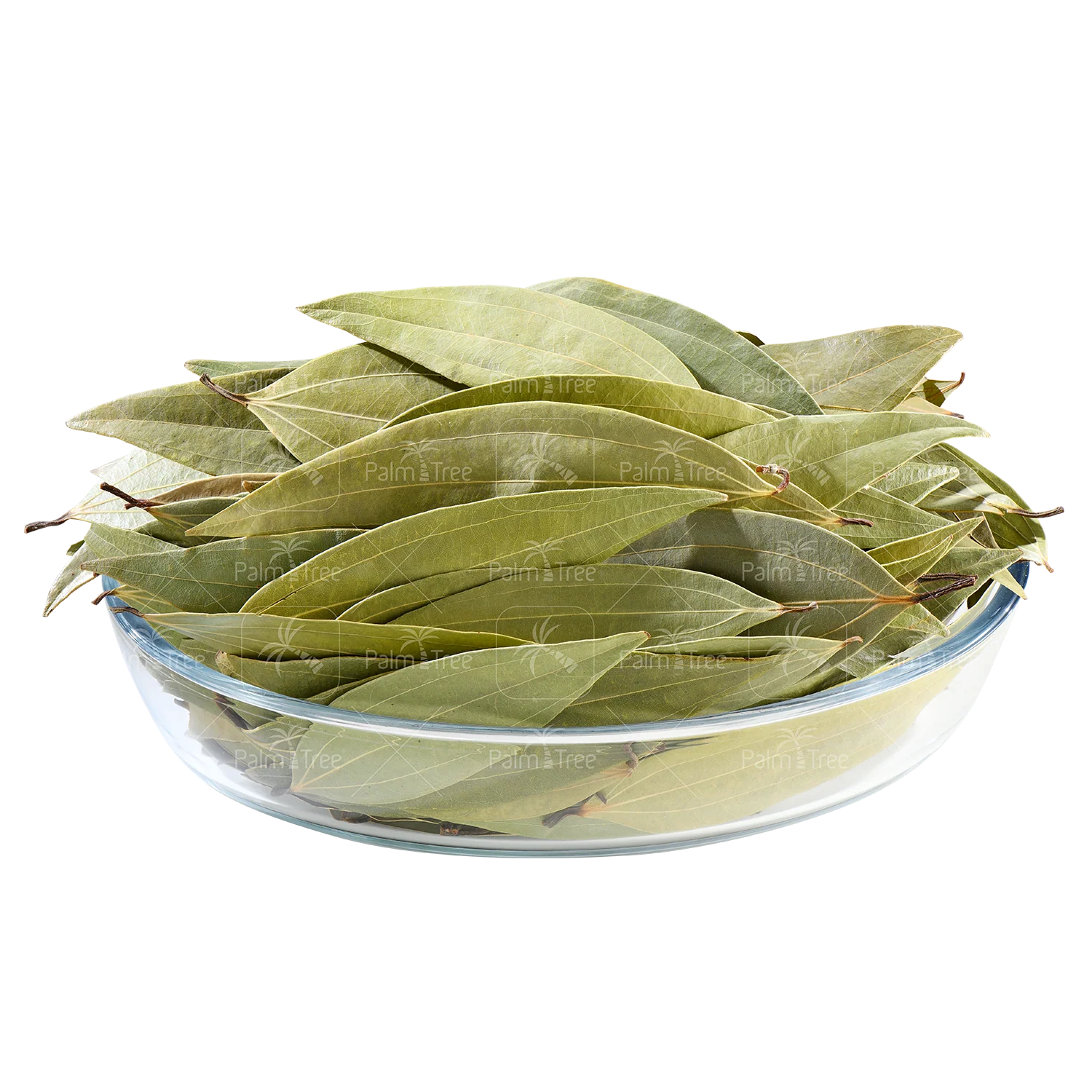Bay Leaf - Image 2