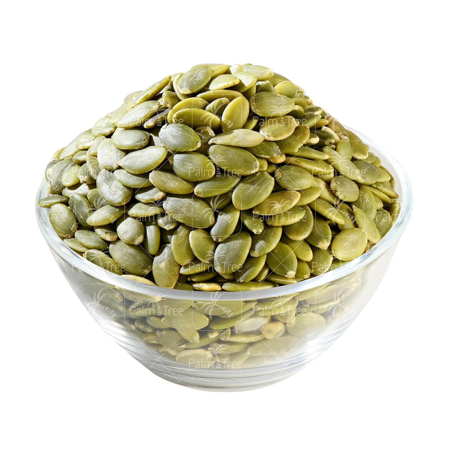 Brain Pack - Image 6
