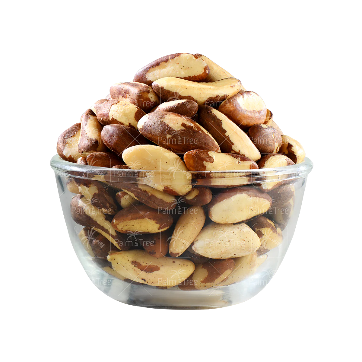 Brazil Nut