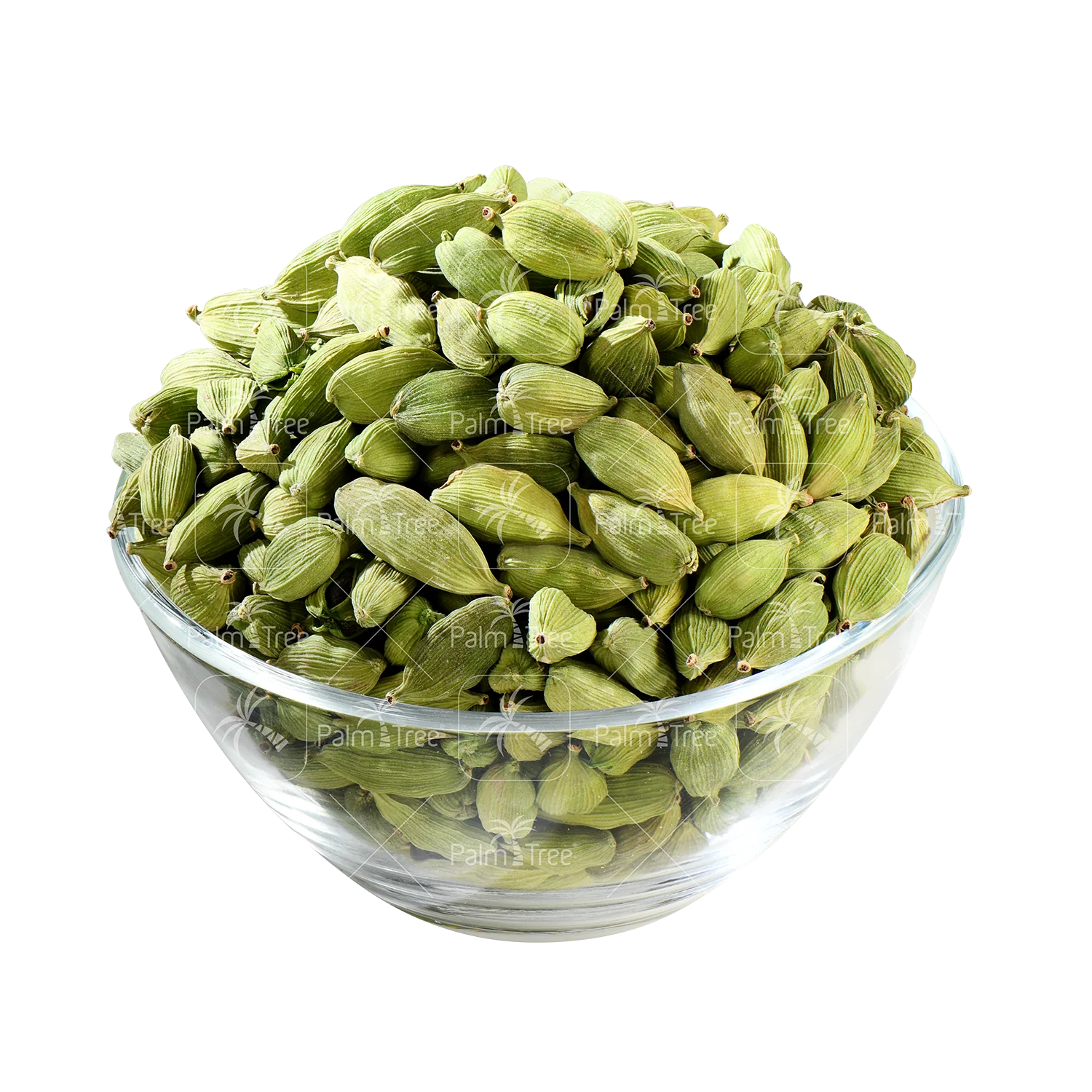 Cardamom 8.5 - Image 2