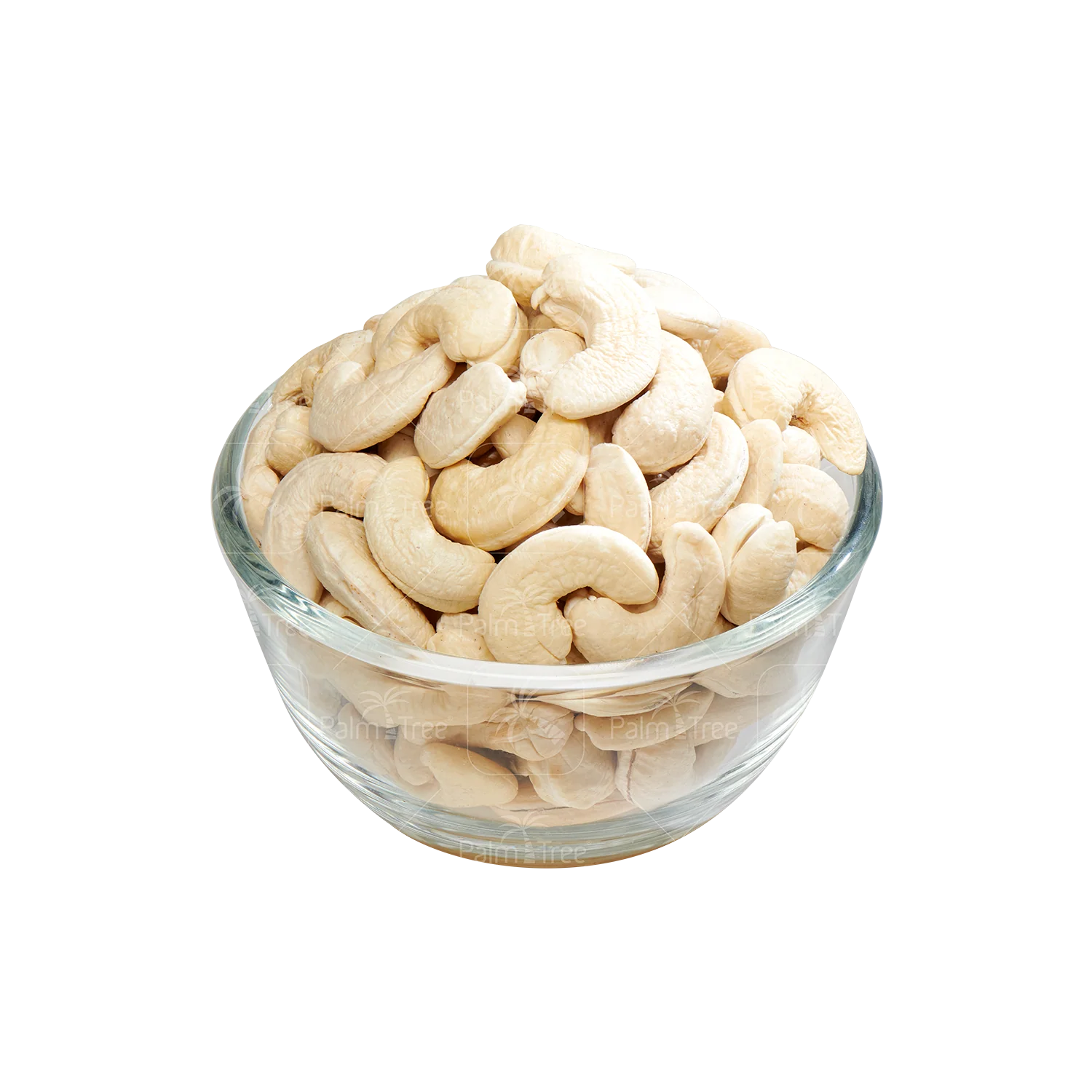 Cashew W150 - Image 2
