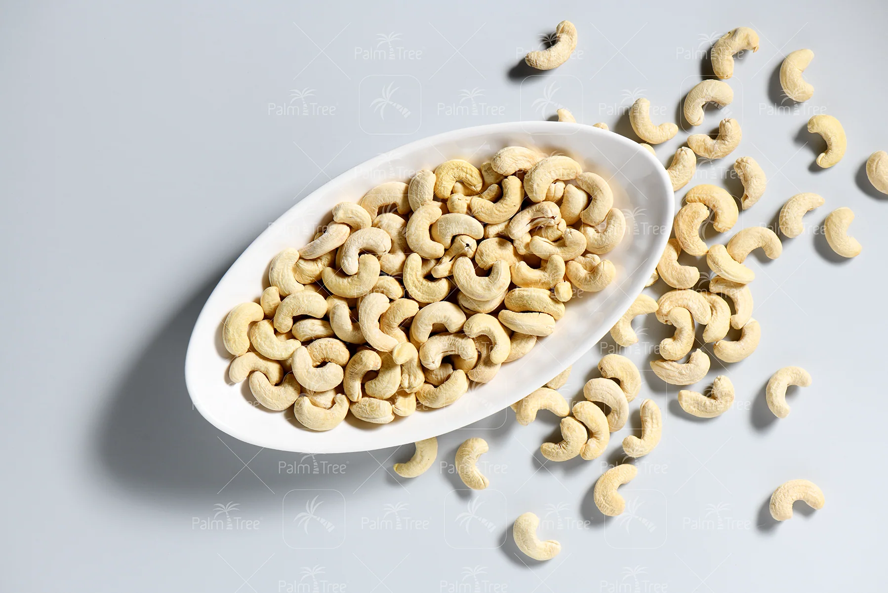 Cashew W210 - Image 3