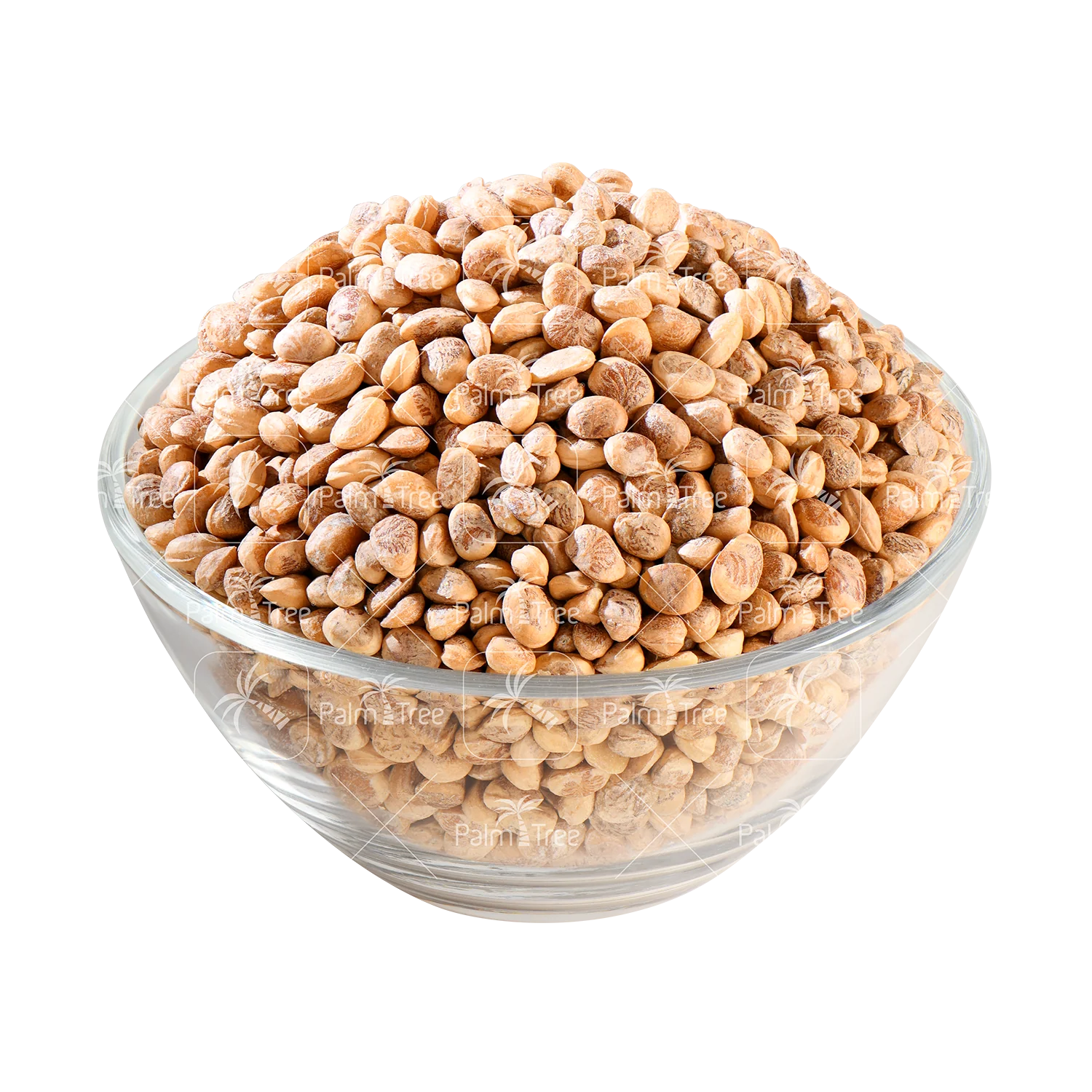 Chironji / Charoli Seeds - Image 2