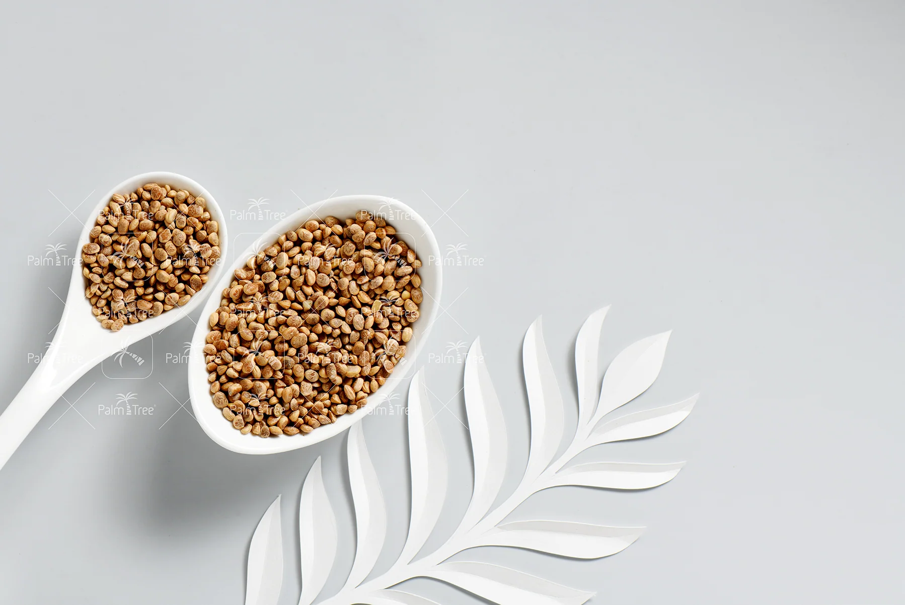 Chironji / Charoli Seeds - Image 3