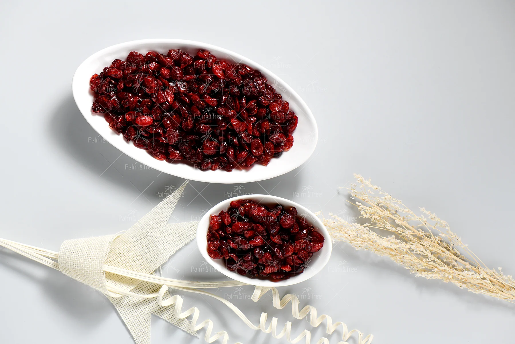 Cranberry Slice - Image 3