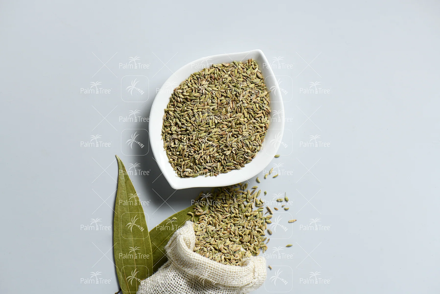 Fennel Seeds - Image 3