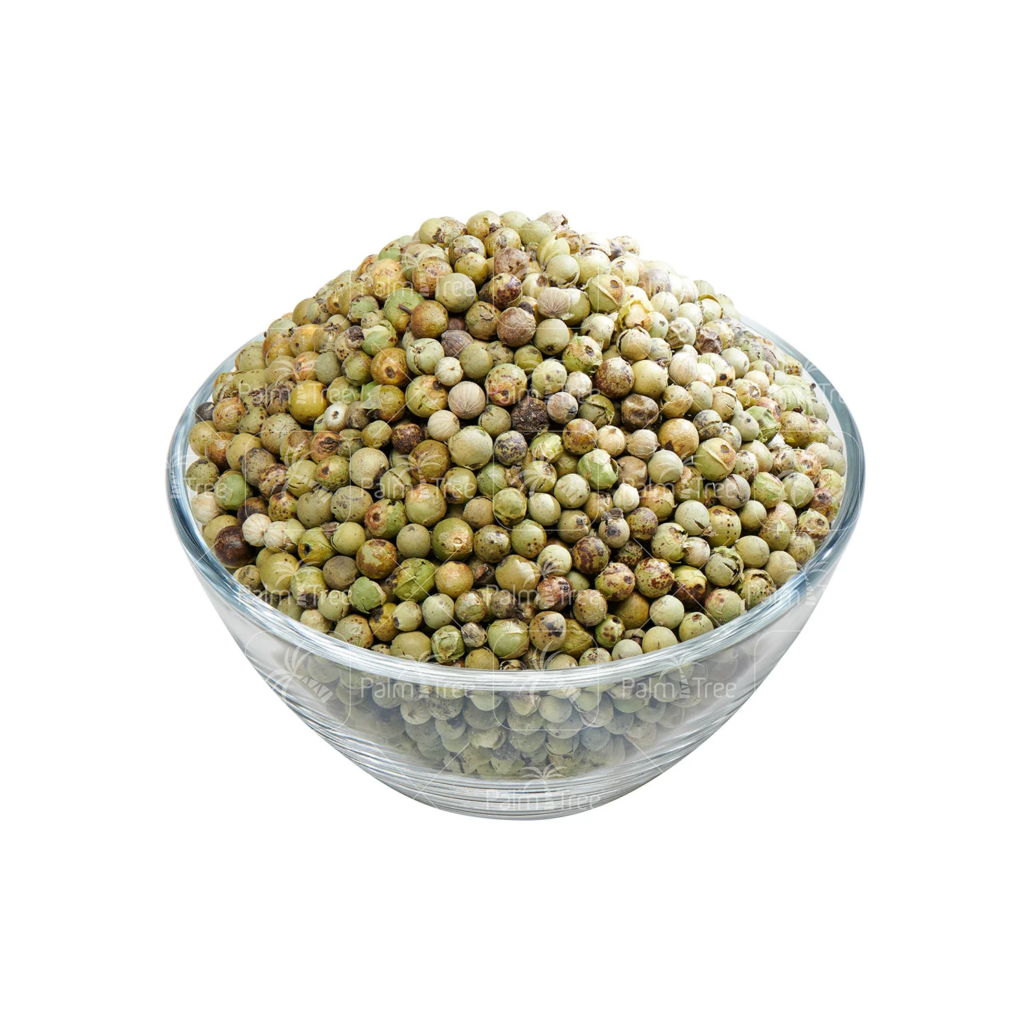 Green Pepper - Image 2