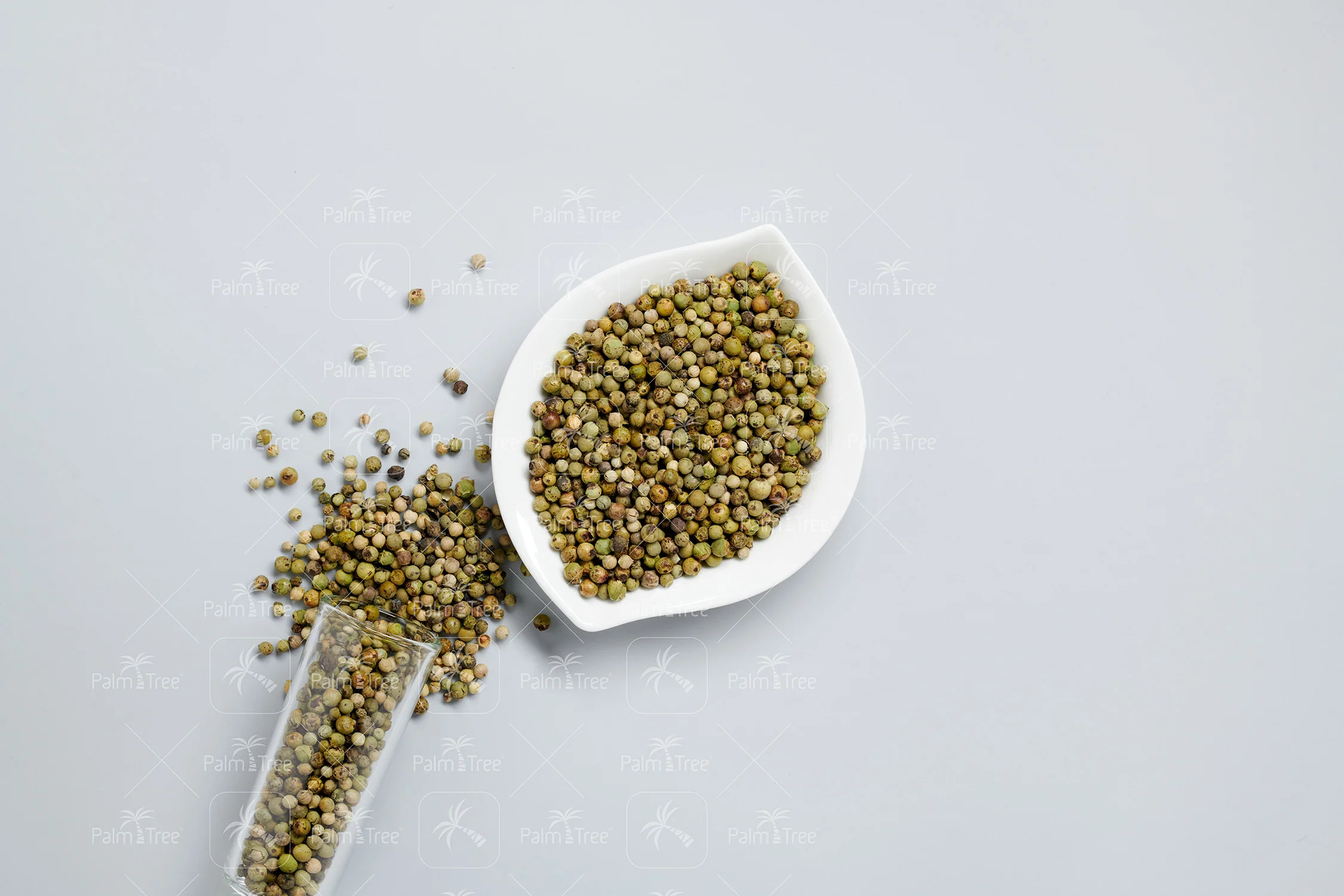 Green Pepper - Image 3