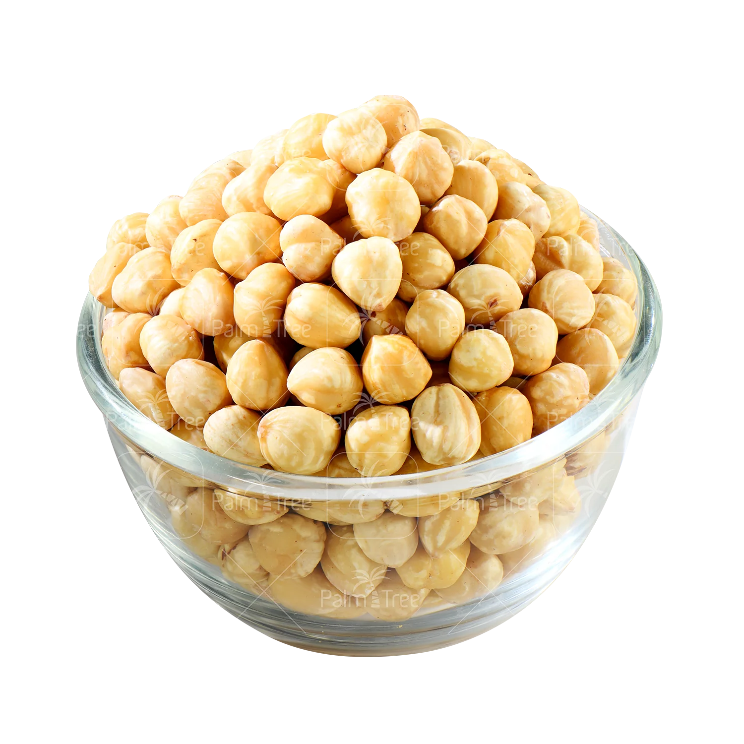 Hazelnut - Image 2