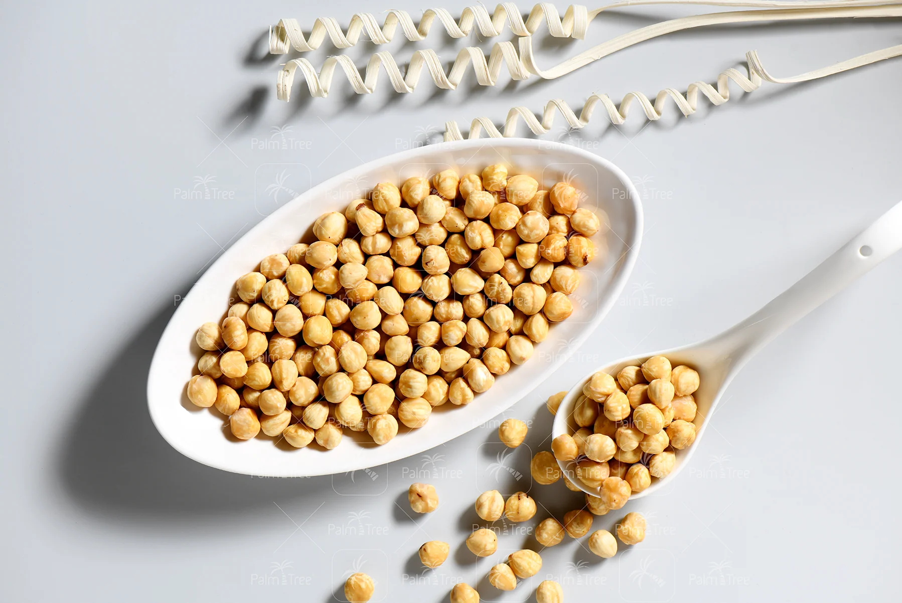 Hazelnut - Image 3