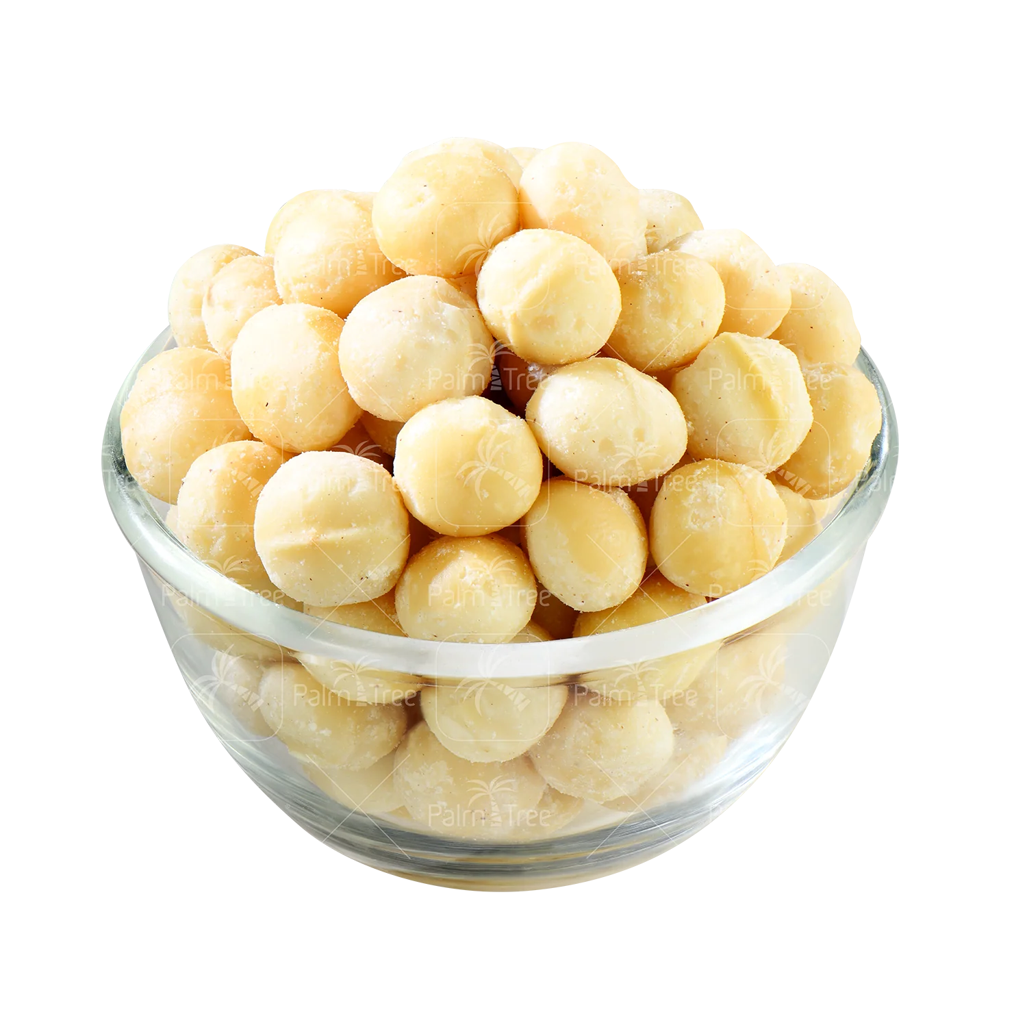 Macadamia Nuts - Image 2