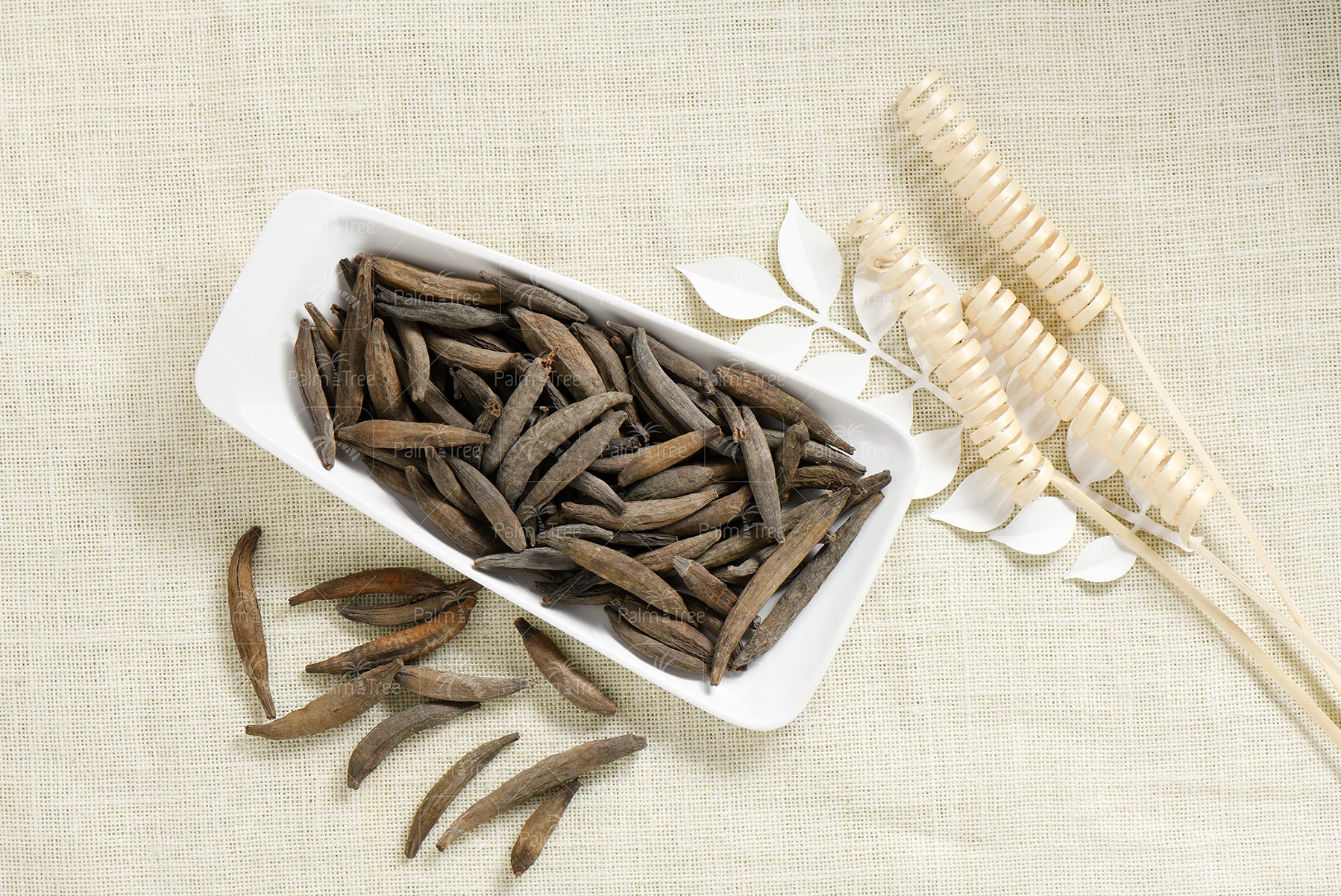 Marathi Moggu / Kapok Buds - Image 3