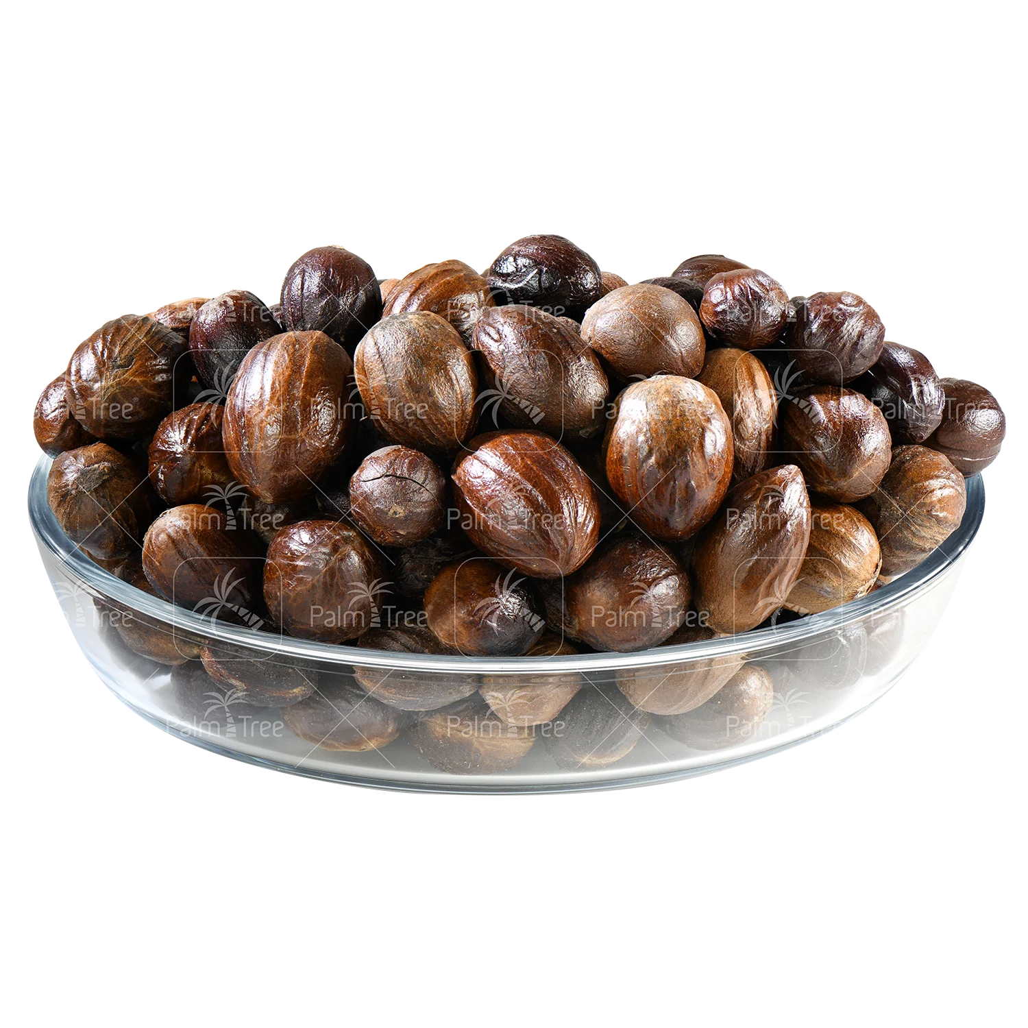 Nutmeg - Image 2