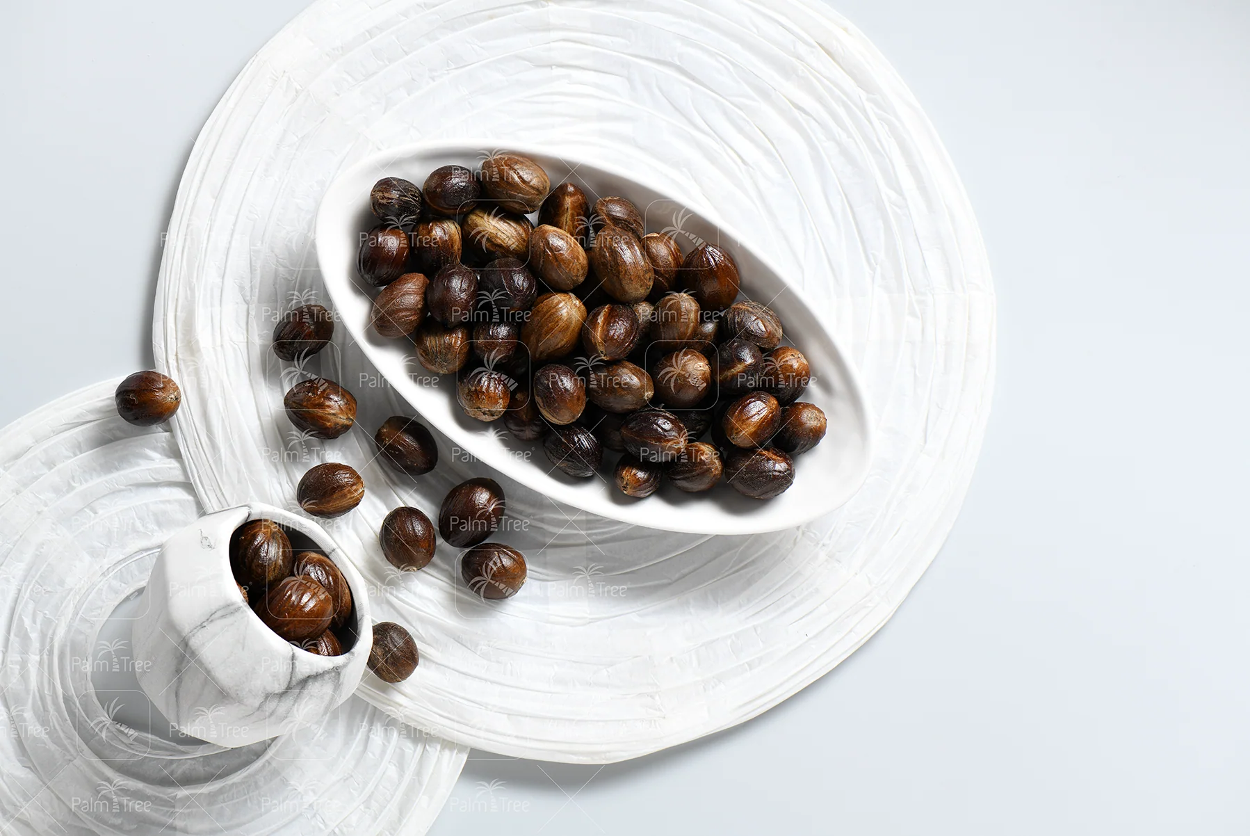 Nutmeg - Image 3