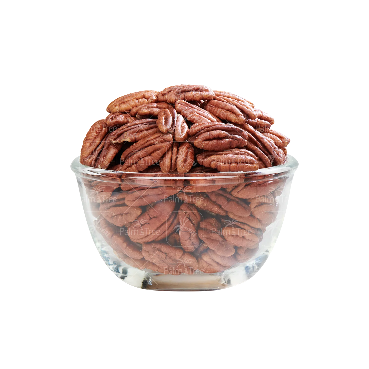 Pecan Nuts