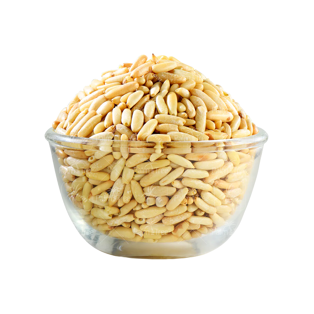 Pine Nuts