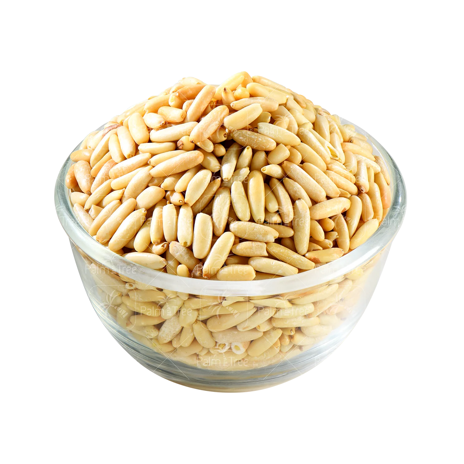 Pine Nuts - Image 2