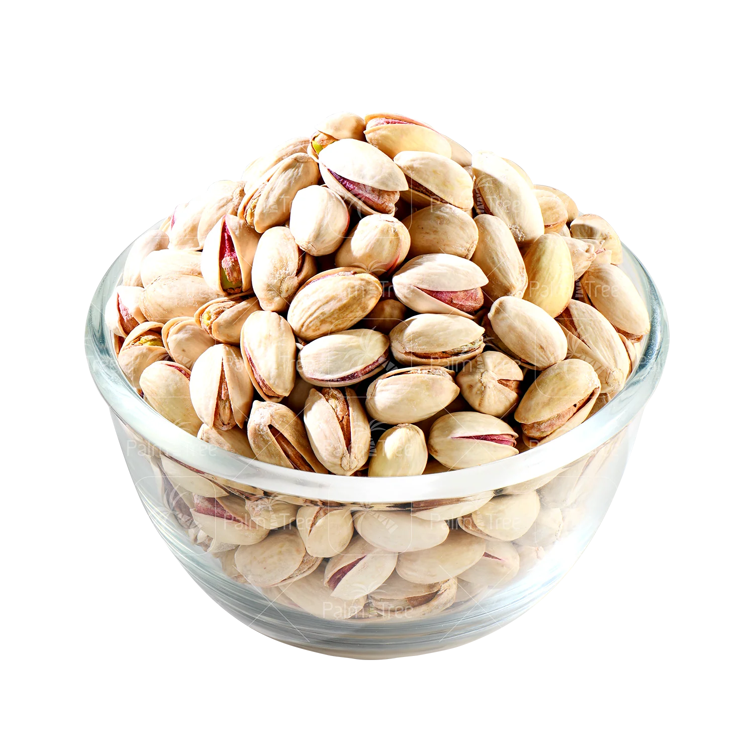 Pistachio / Pista - Image 2