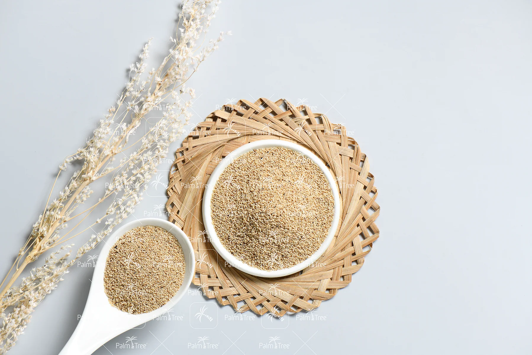 Poppy Seeds - Image 3