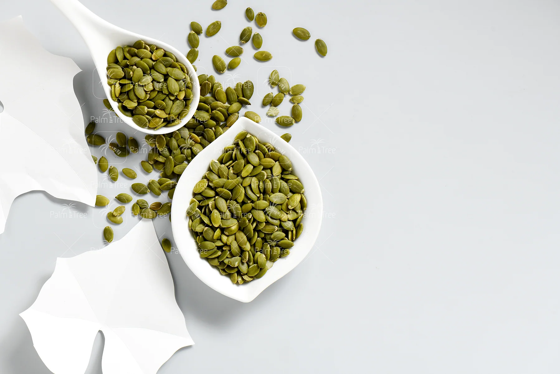 Pumpkin Seed - Image 3