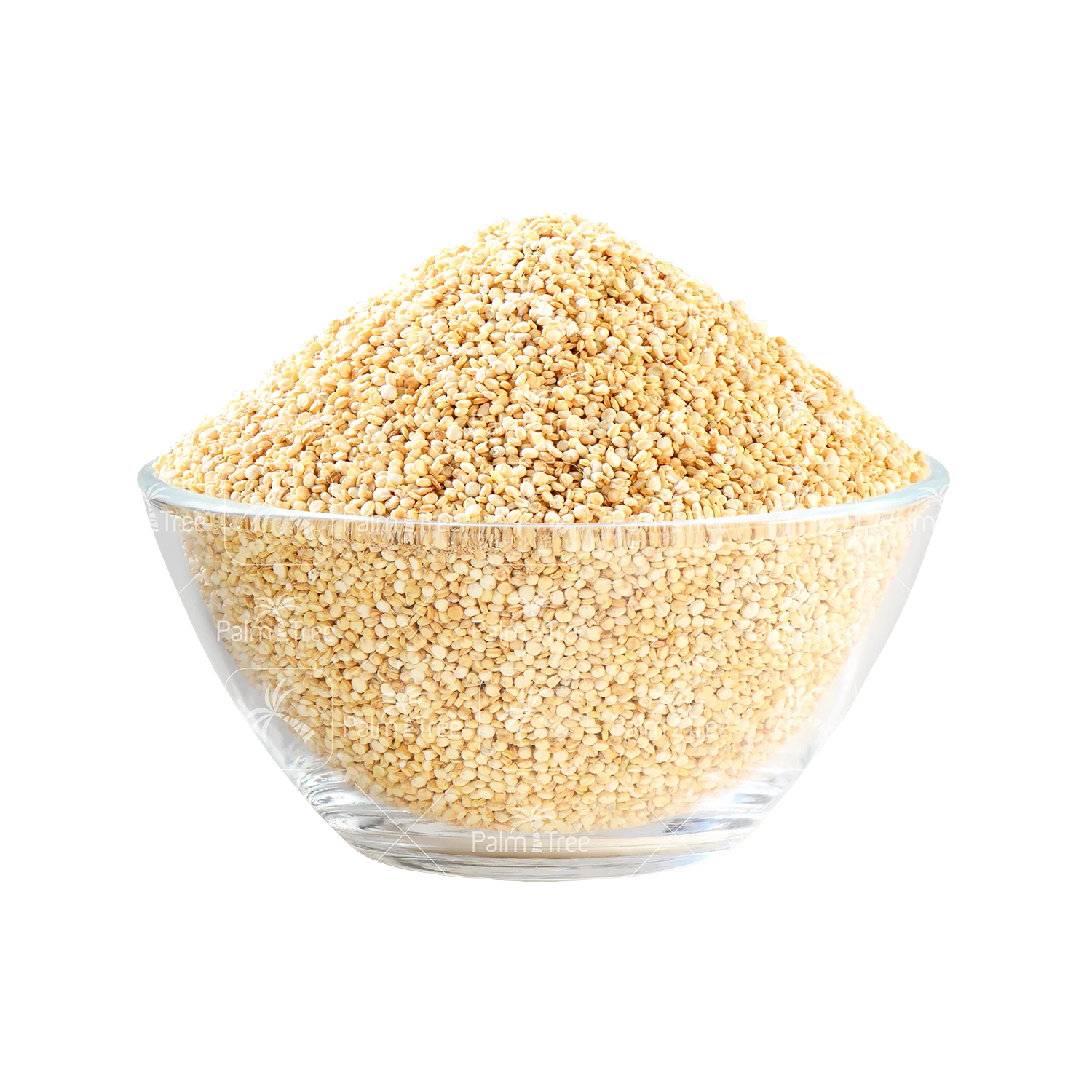 Quinoa Seed White