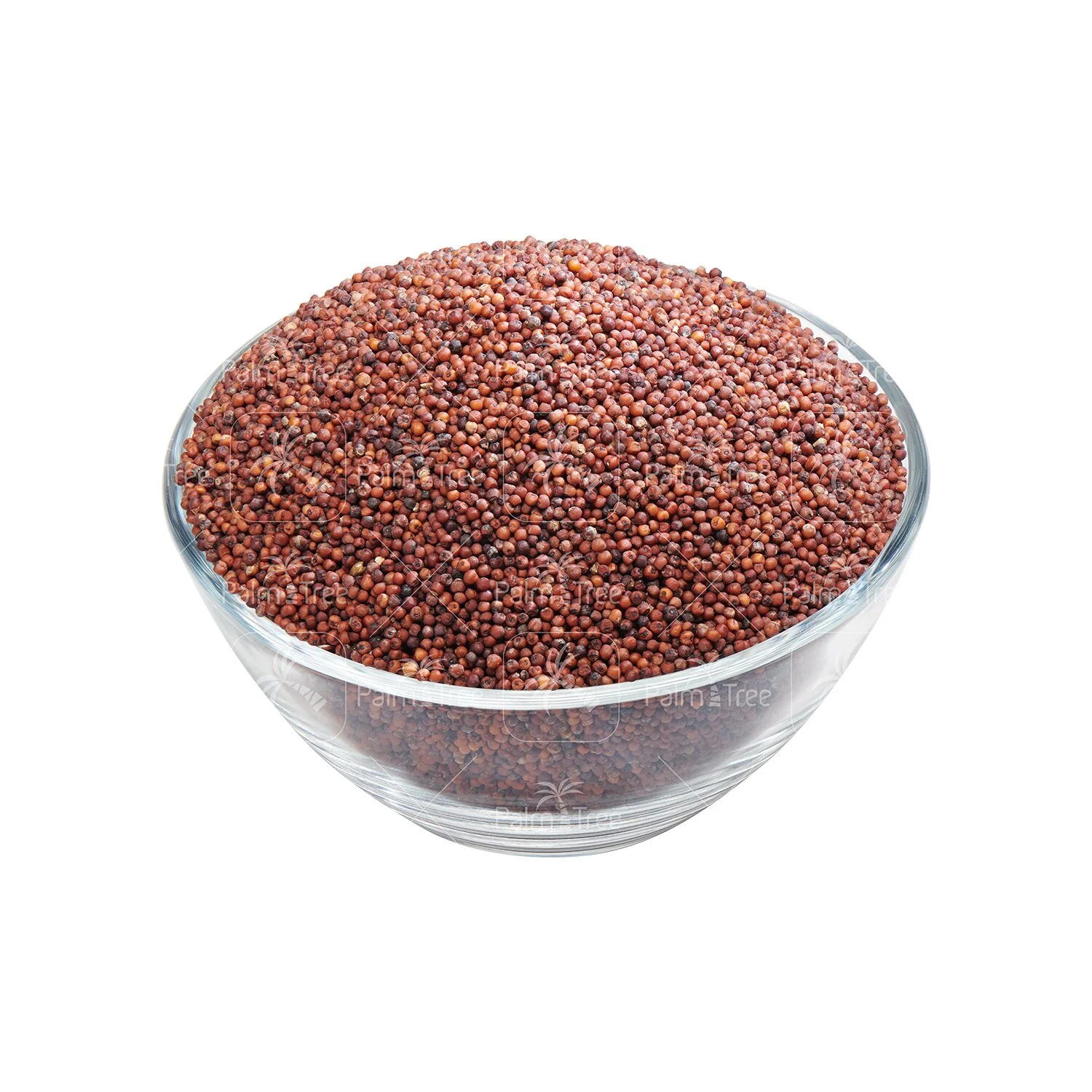Ragi / Finger Millet - Image 2