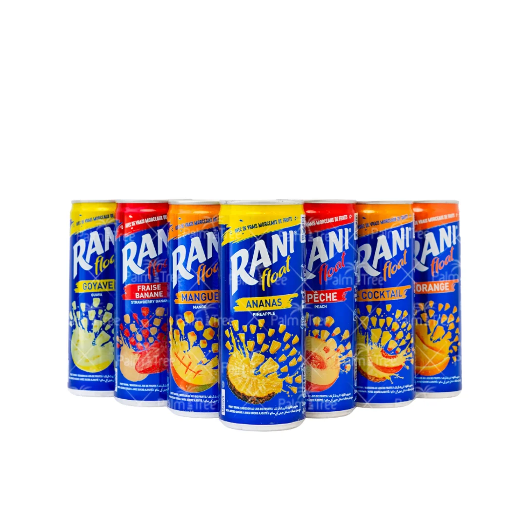 Rani Float 240ml |Orange, Mango, Pineapple & More