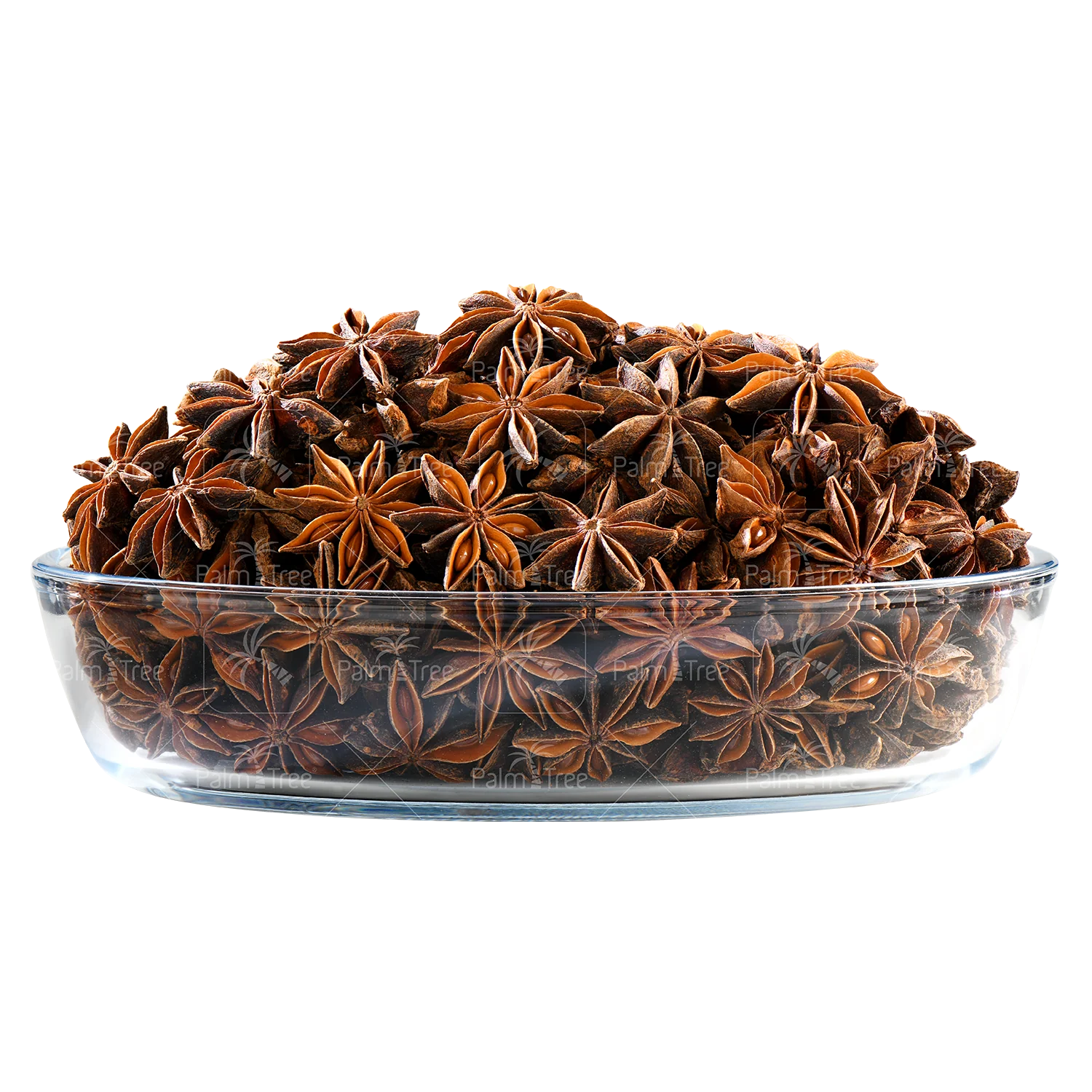 Star Anise / Thakkolam Premium