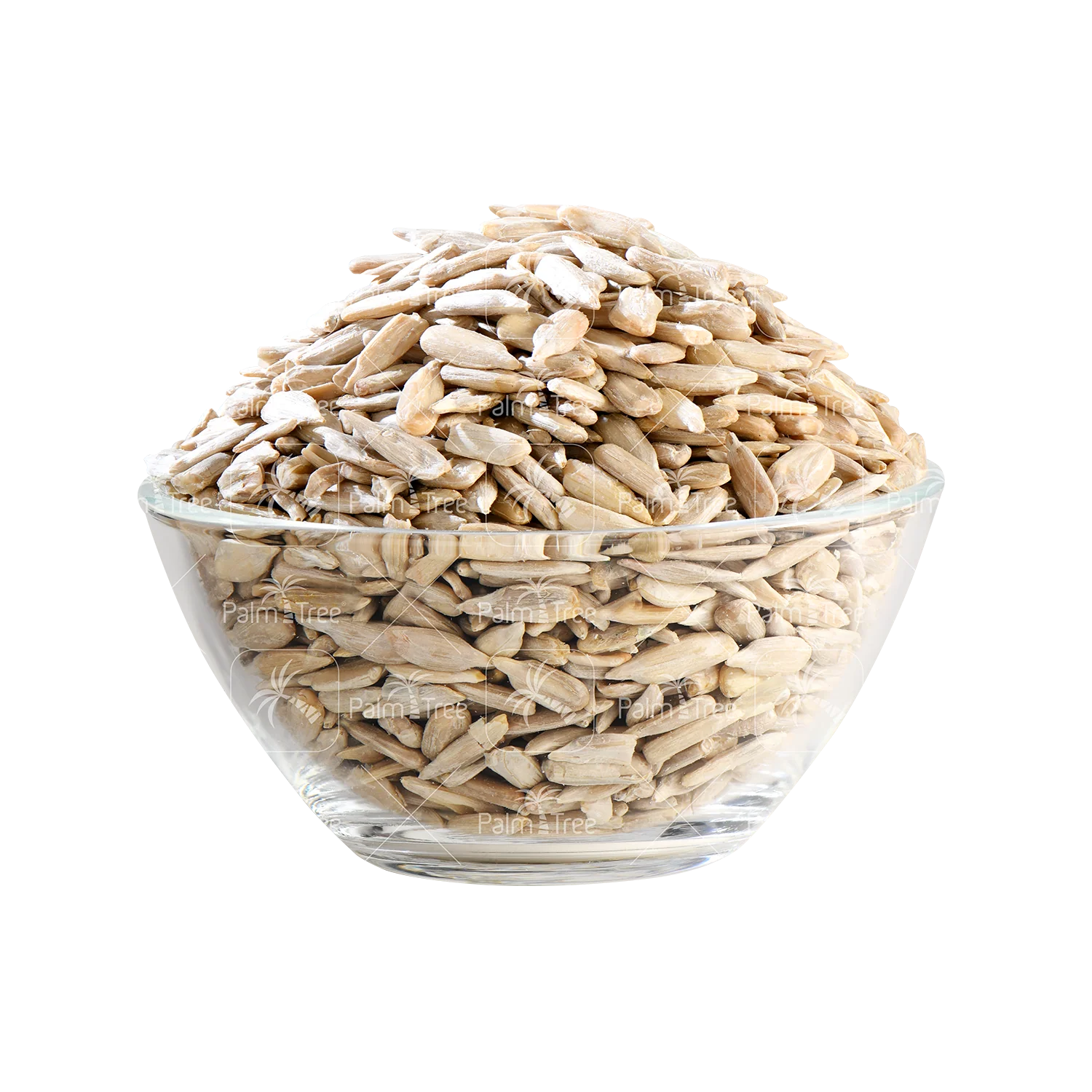 Sunflower Seed