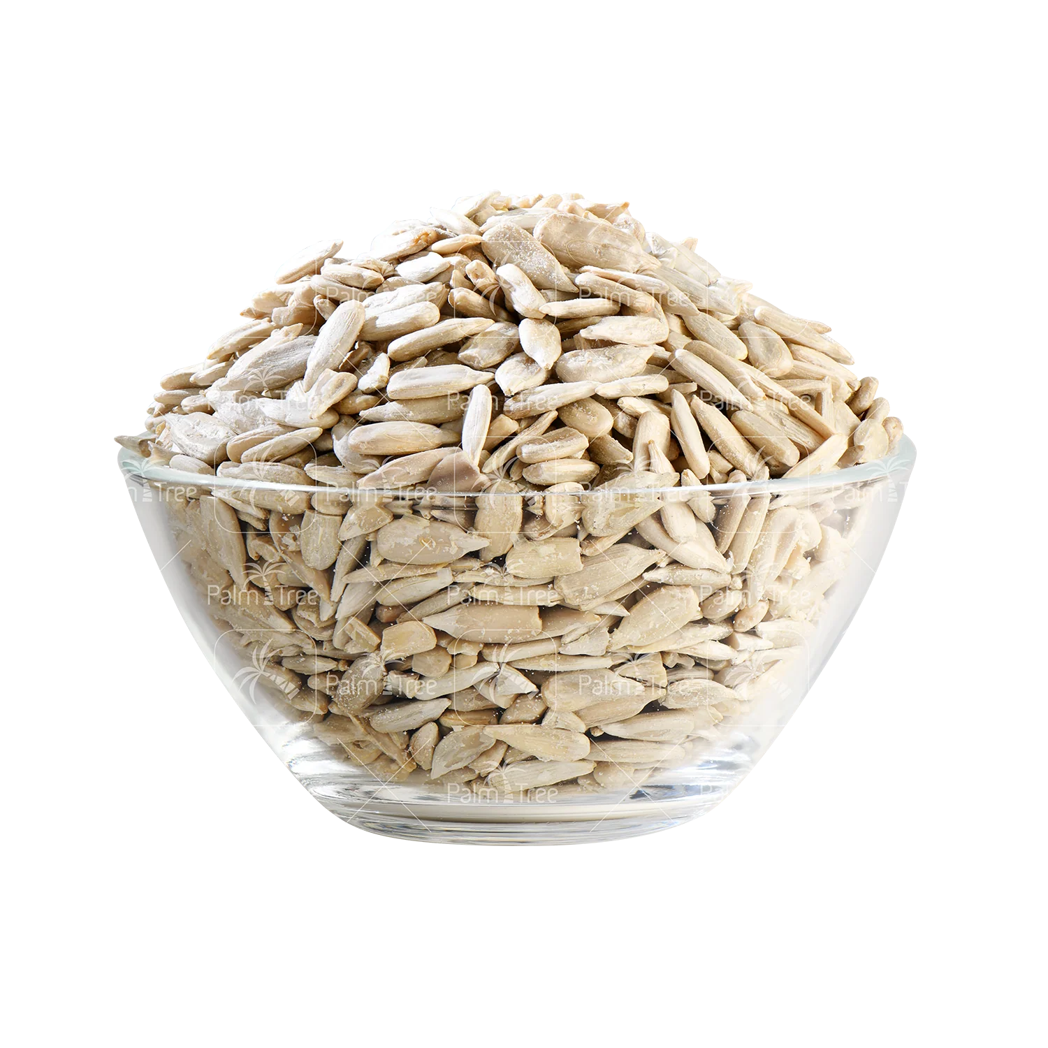 Sunflower Seed Roasted (Salted)