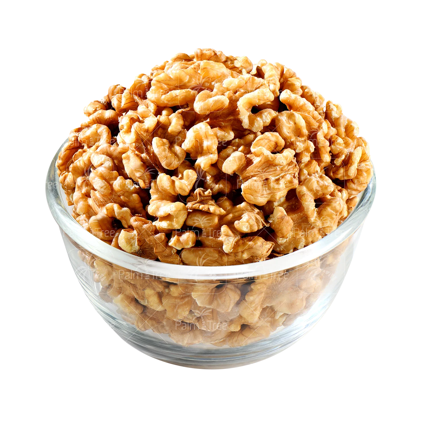 Walnut - Image 2