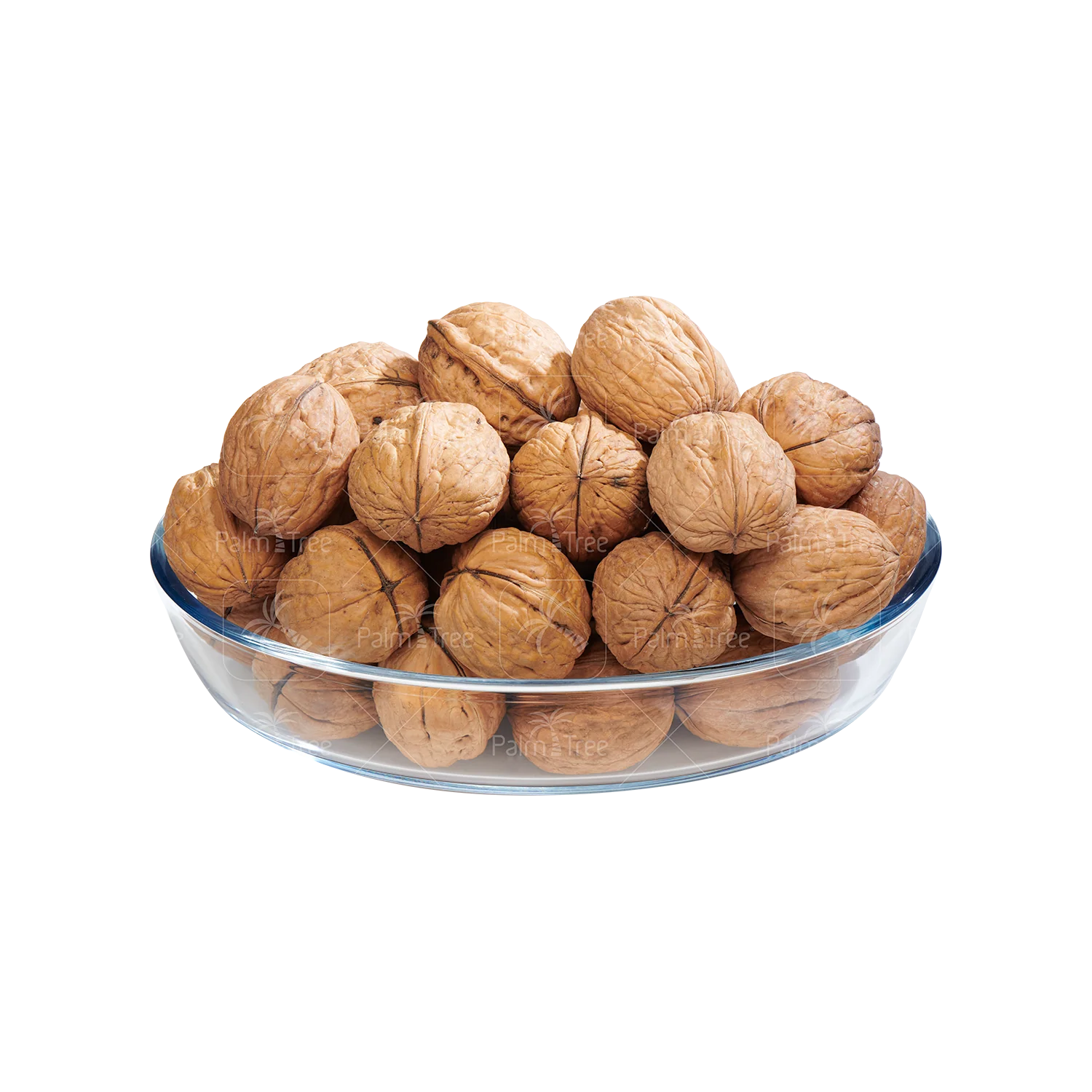 Walnut With Shell - Image 2